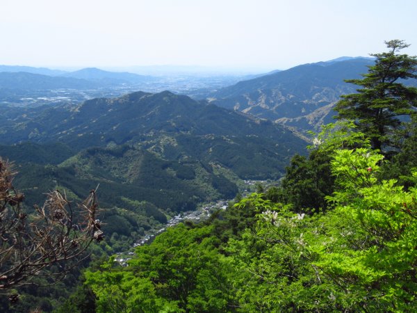 登山道